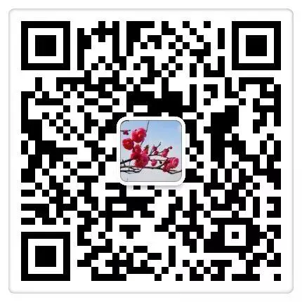 女性篮球运动员如何利用高科技优化训练_0
